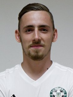 Kotek