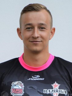 Skřivan
