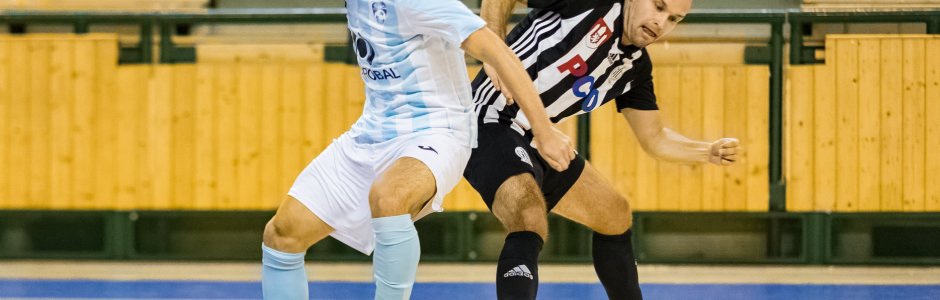 Plzeň nastřílela Budějovicím 11 gólů