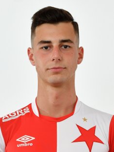 Plíšek