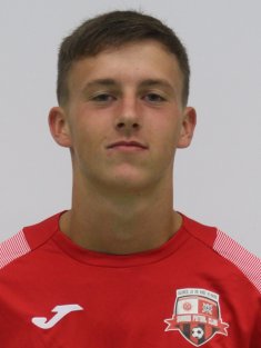 Žolcer