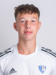 Šiler