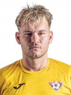 Daněk