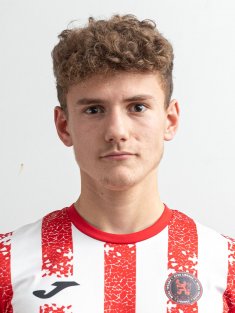 Stibor