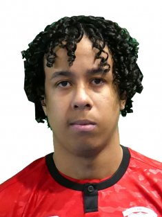 Martins
