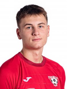 Bednařík